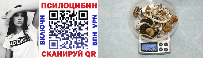 Галлюциногенные грибы мухоморы где купить наркоту кракен ссылки Заполярный